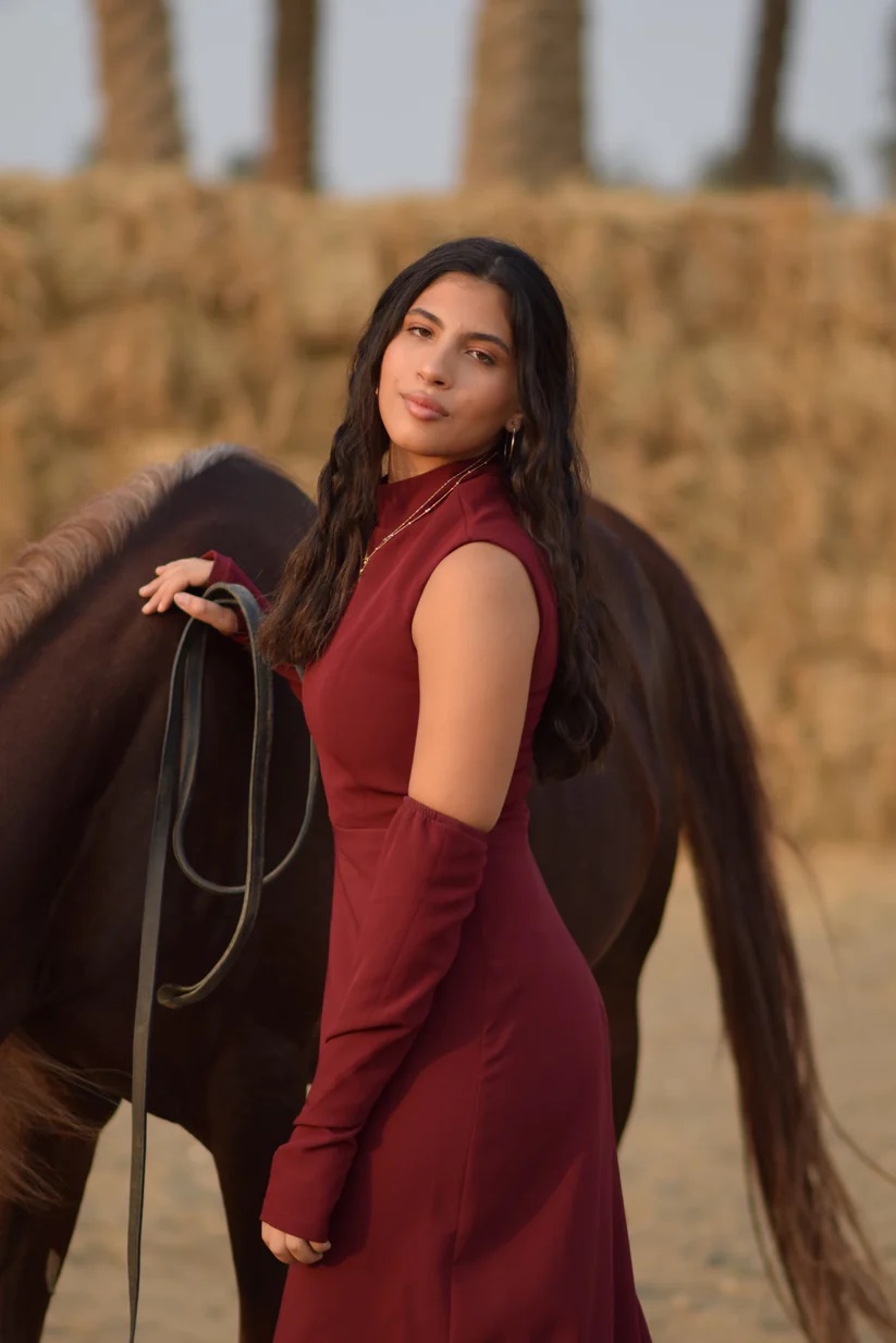 Burgundy Dress image