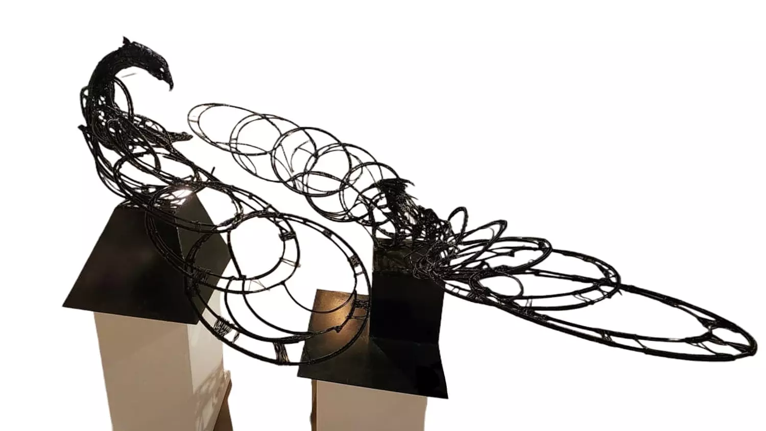 617 Mariam Osama image