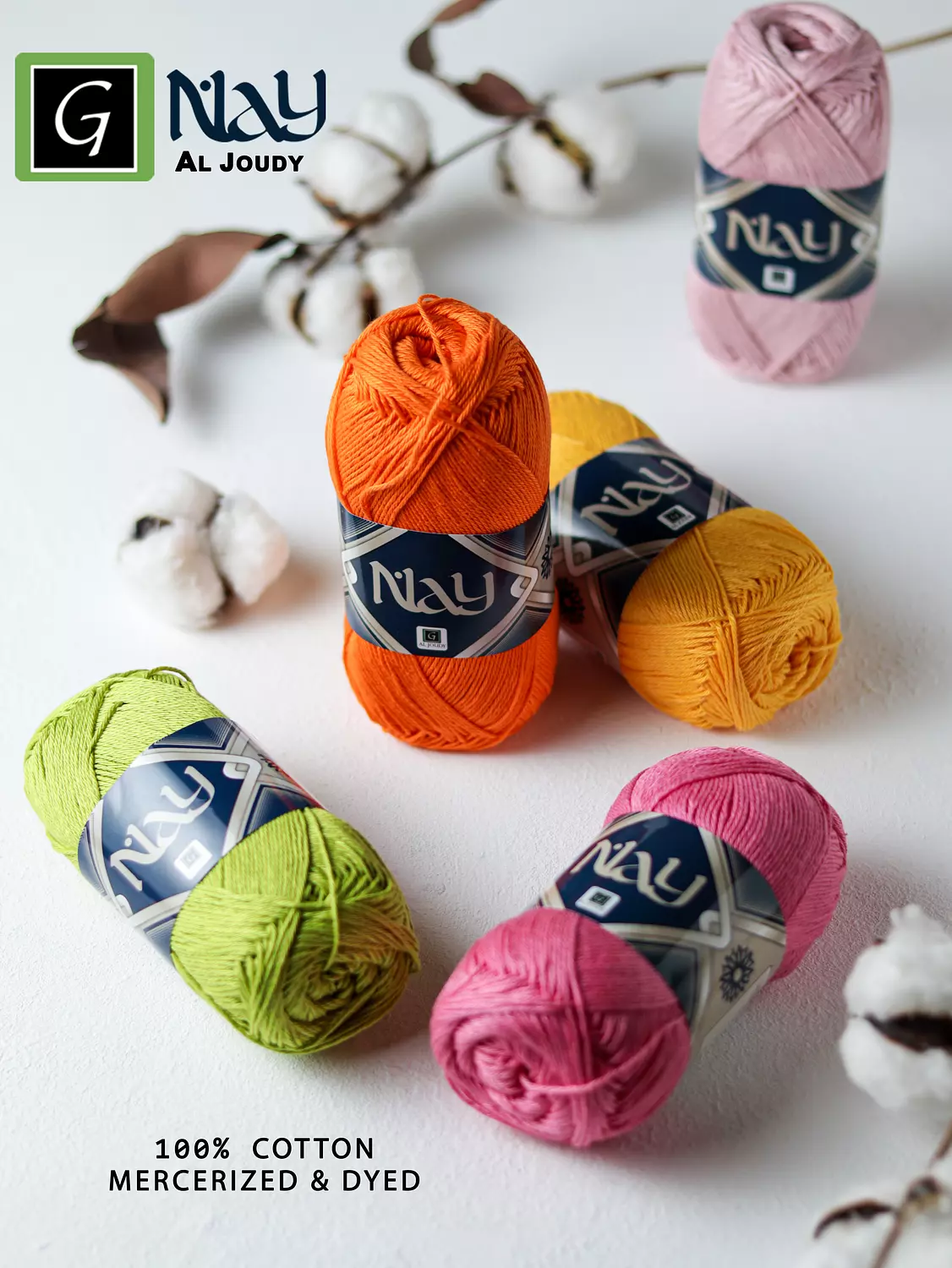 Nay Crochet 2