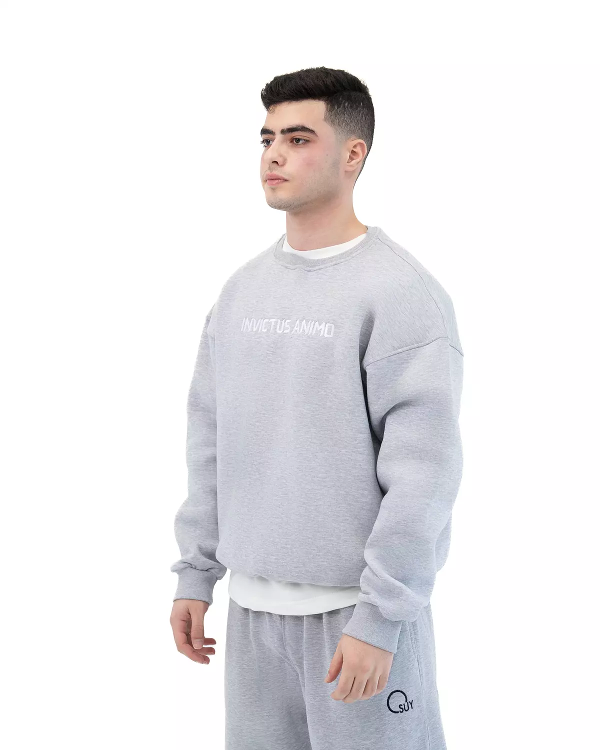 Premium Crewneck  _ Grey image
