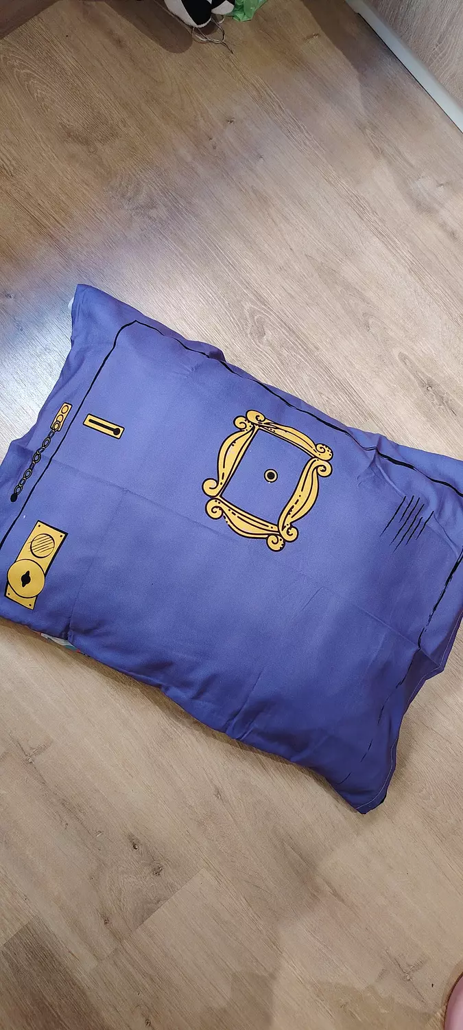 F.R.I.E.N.D.S door pillow case image