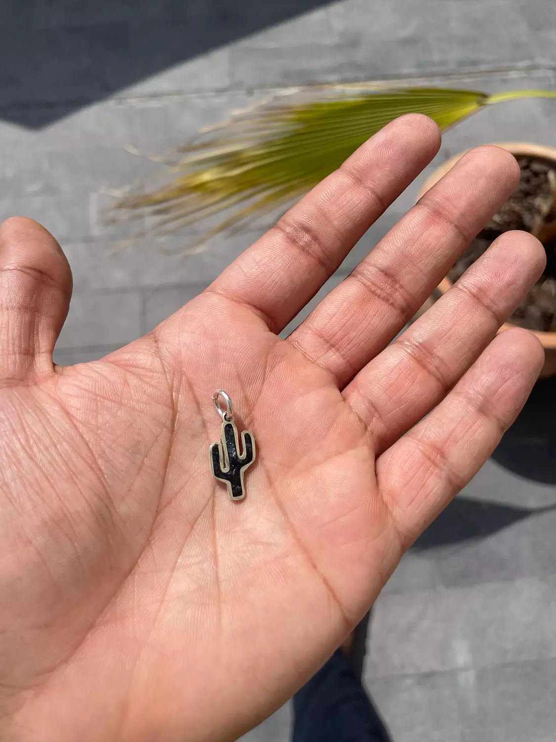 Black Cactus Pendant image