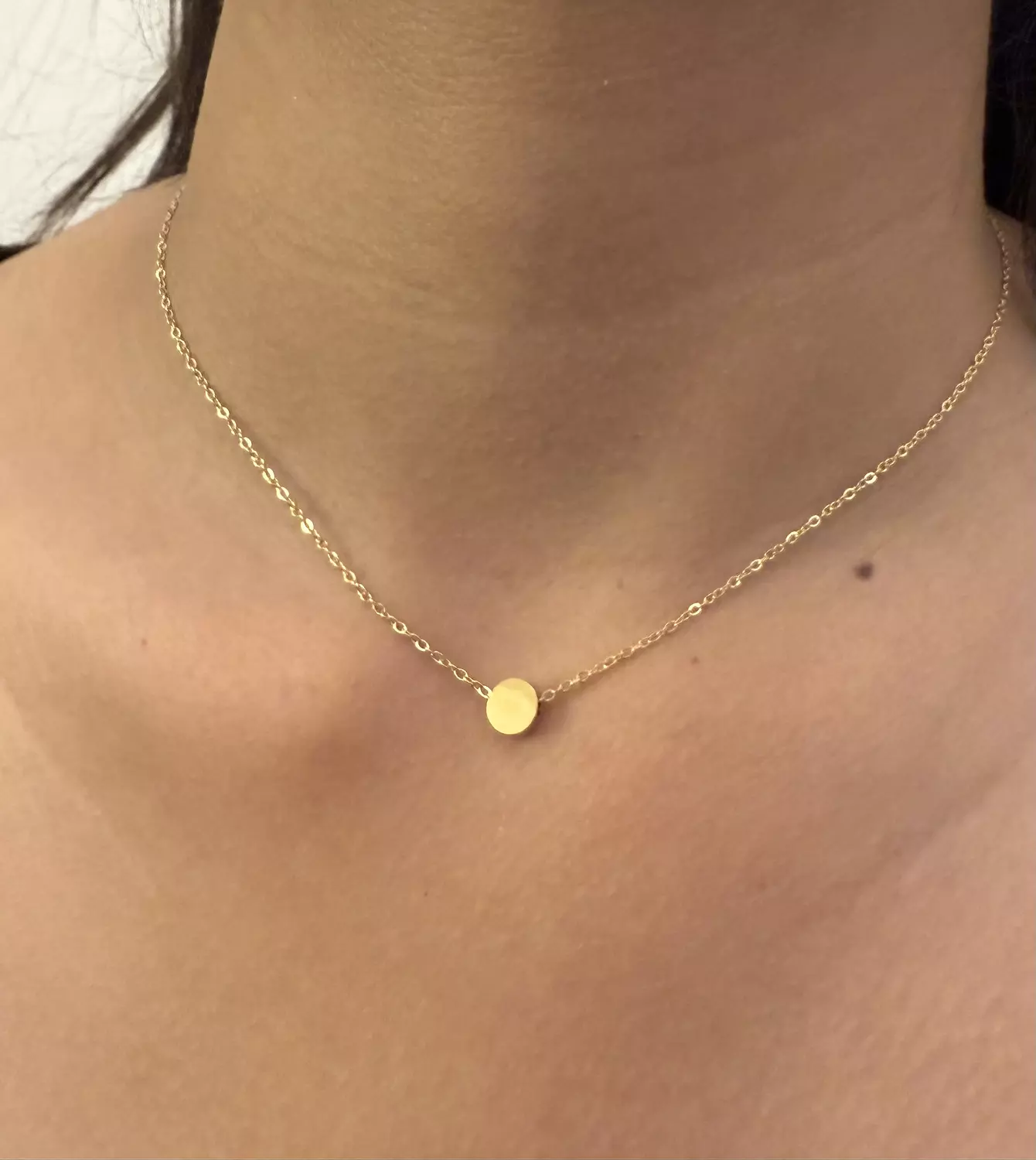 Circle Necklace  image