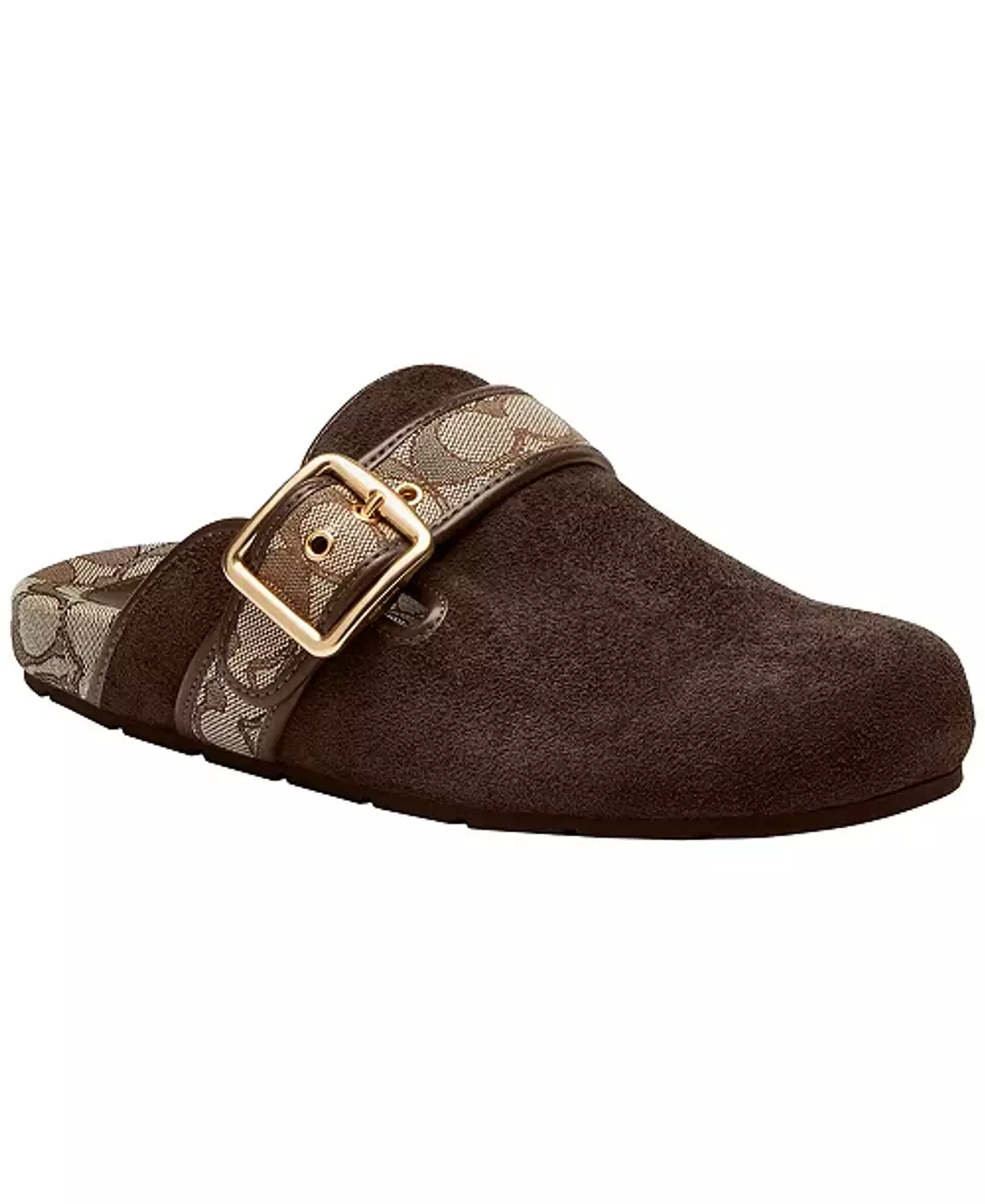 Coach Archival Suede in Brown 1