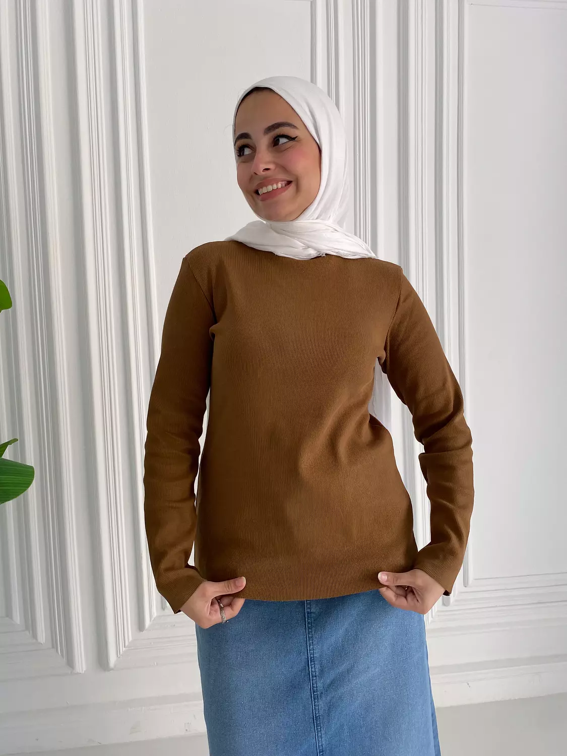 Brown Basic Top lon sleeve image