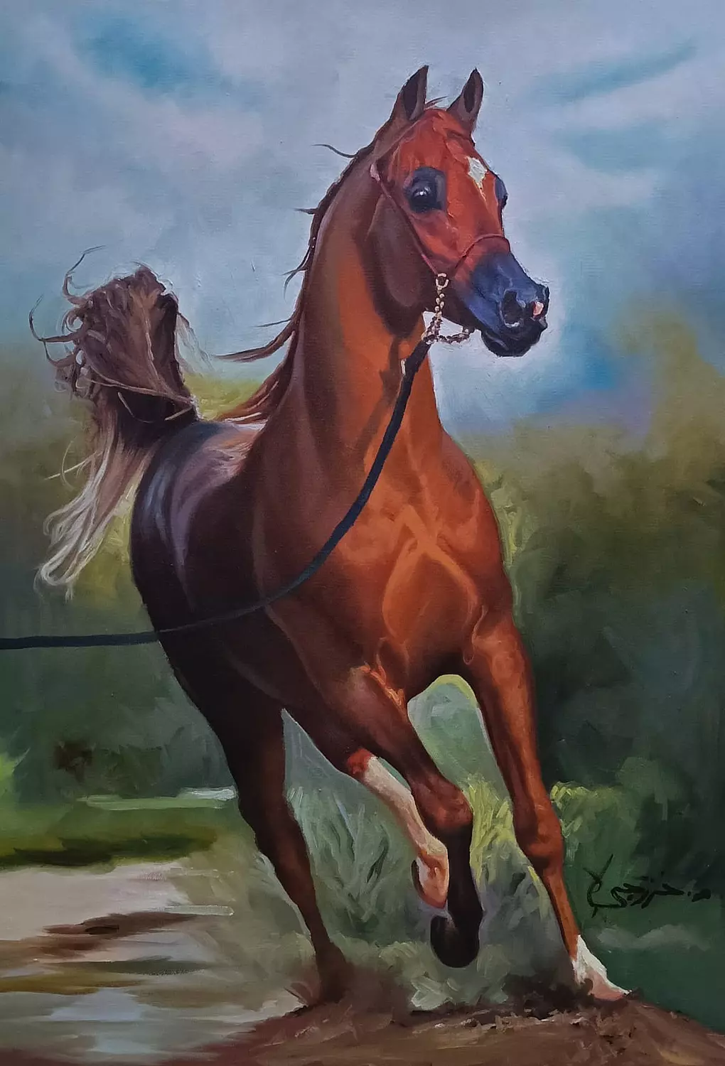 Mohammed Al-Khazraji - 00029 image