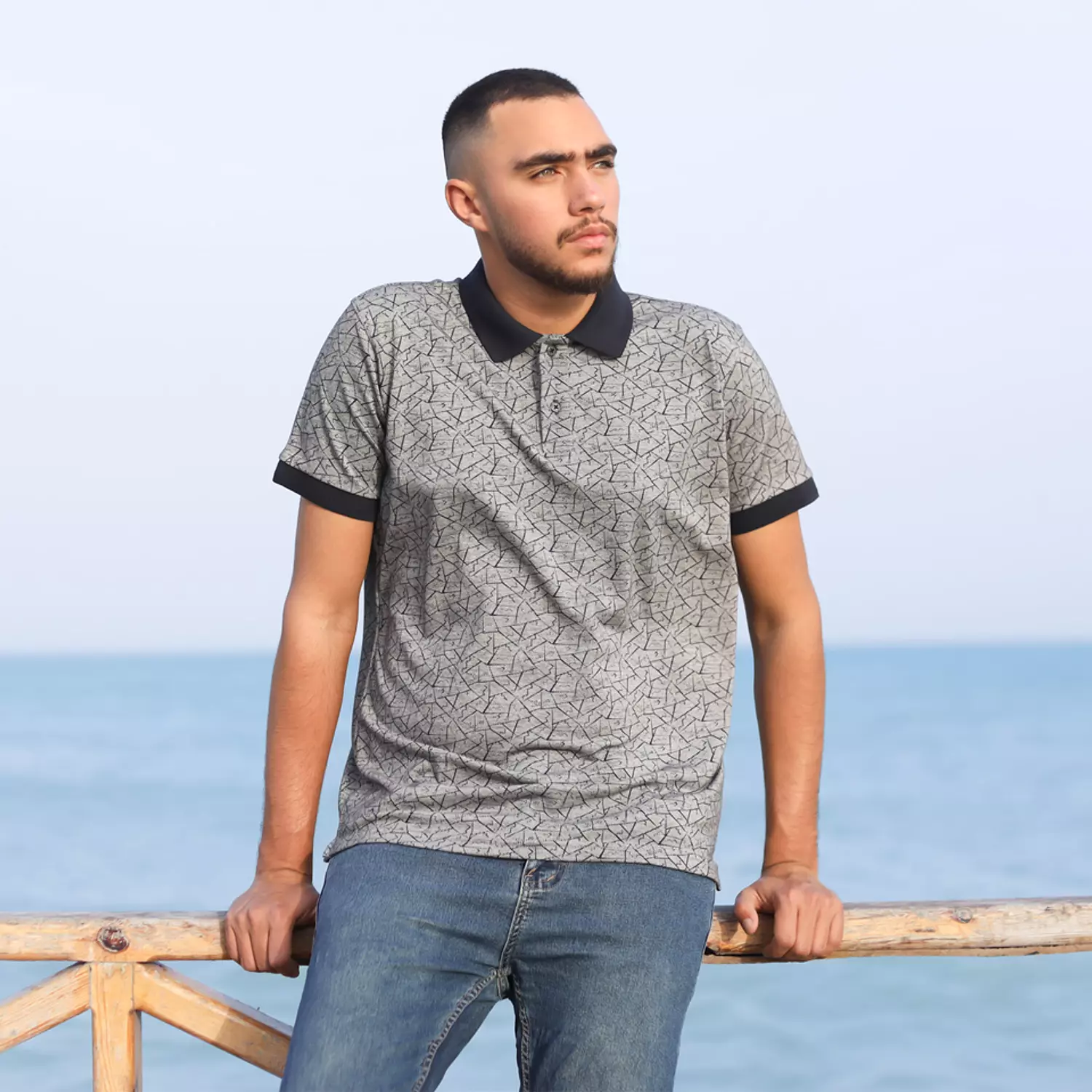 Polo T shirt -Grey image