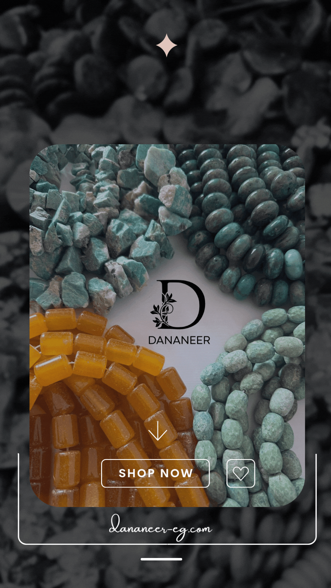 banner image for DANANEER ACCESSORIES