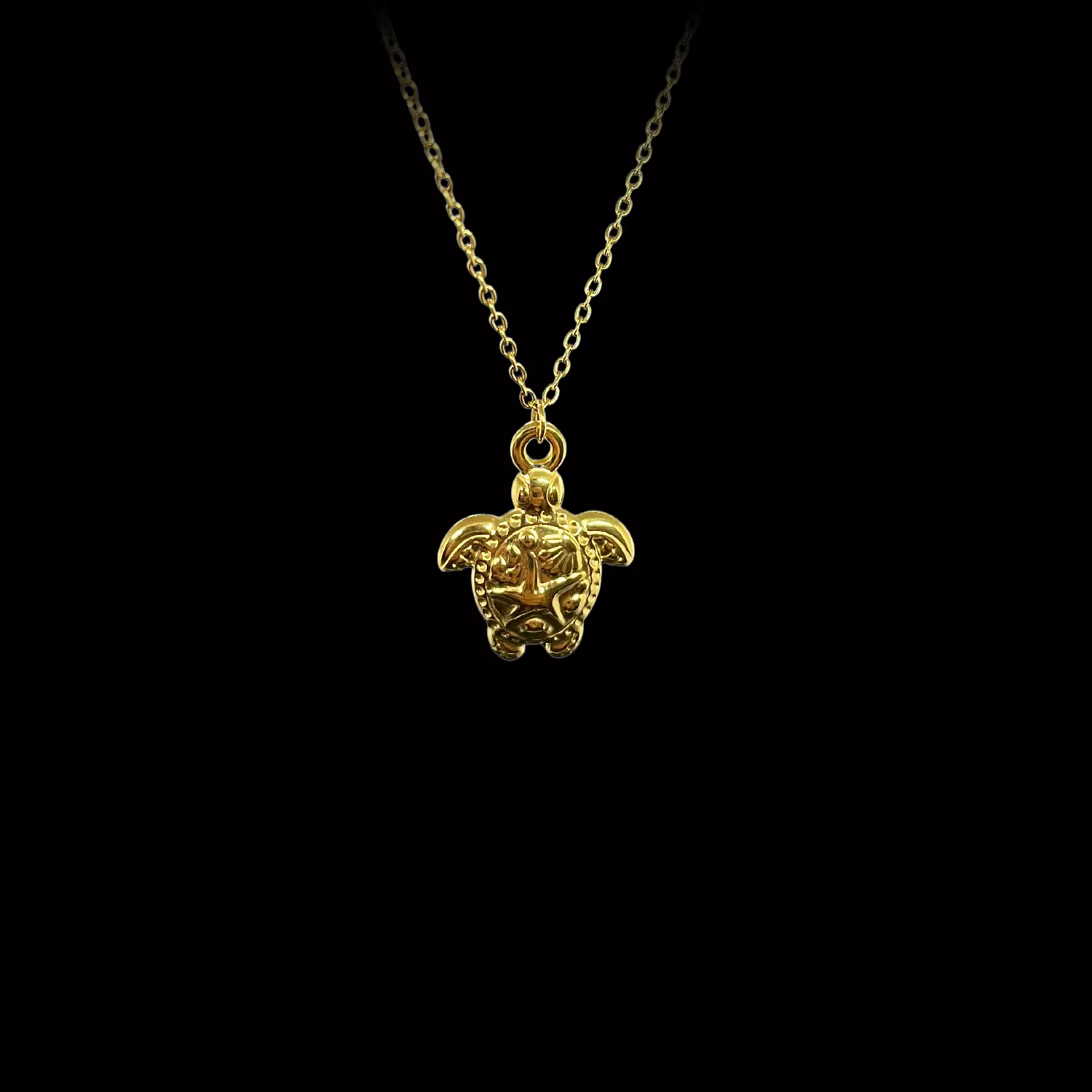 Turtle Necklace image