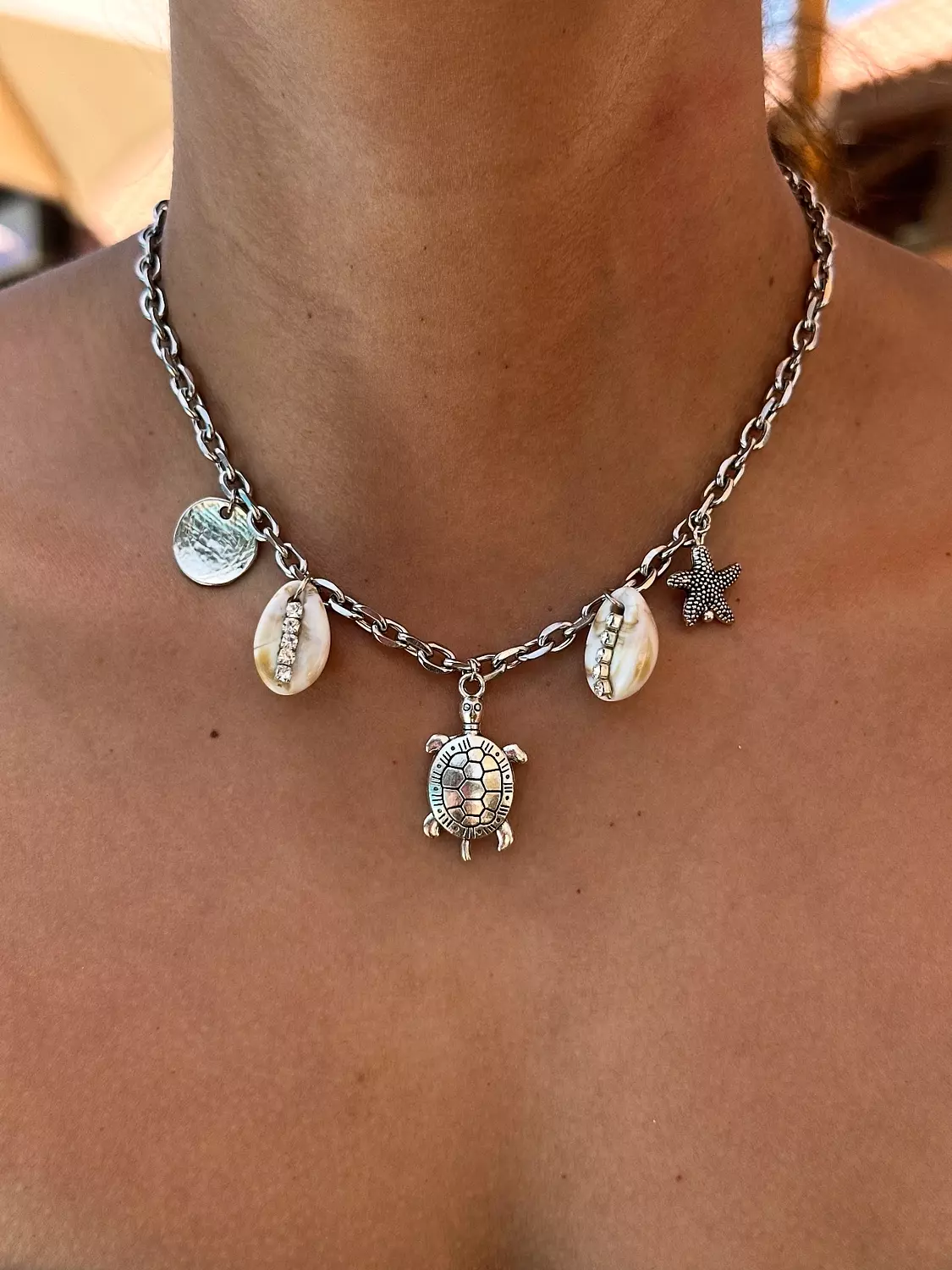 Silver Tortoise   image
