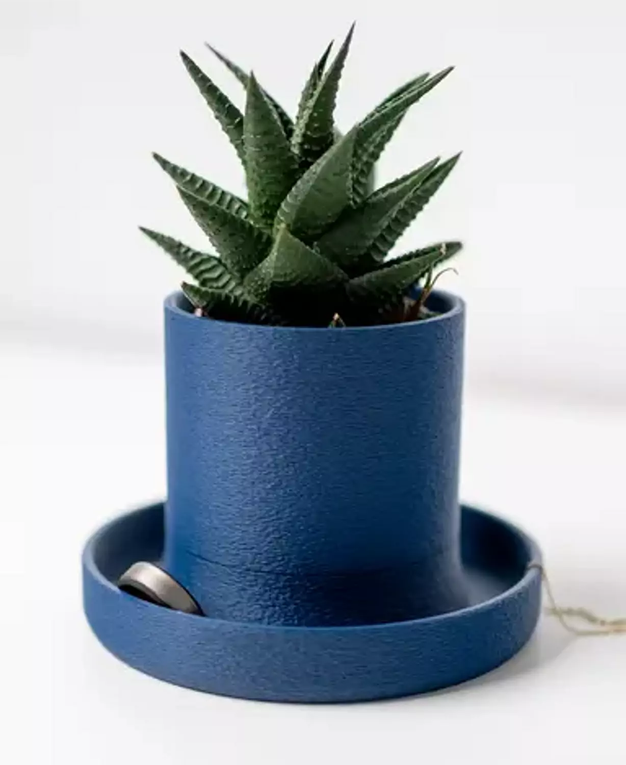 Charles planter image