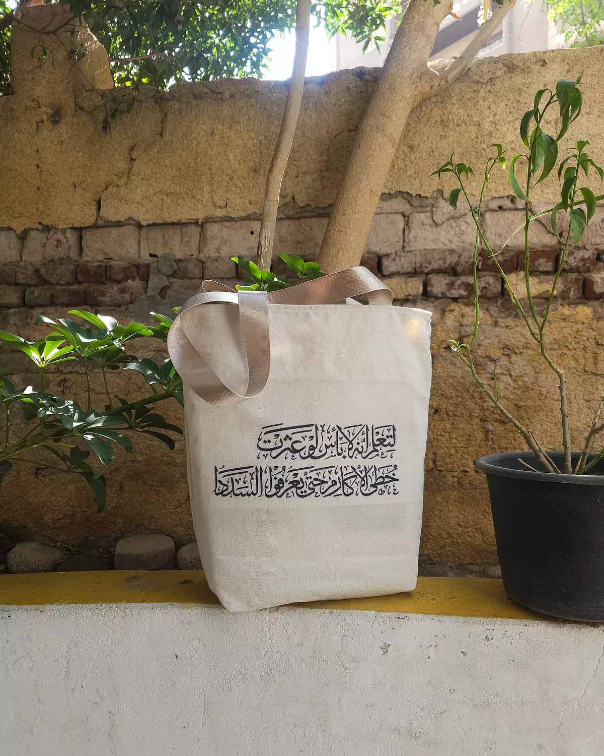 ولتعلَم أنهُ لا بَأس لو عَثرت خُطا الأكارِم/توت باج image