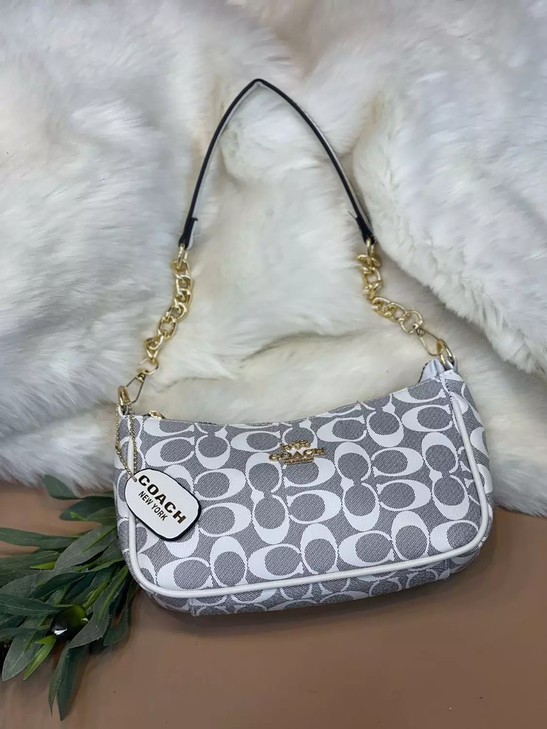 COACH Bag 3