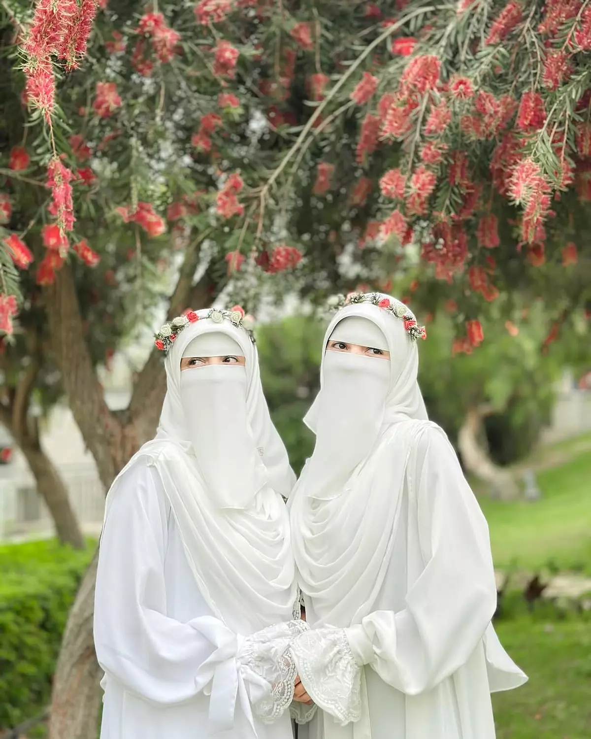حرملة رافلز ( للزفاف ) hover image