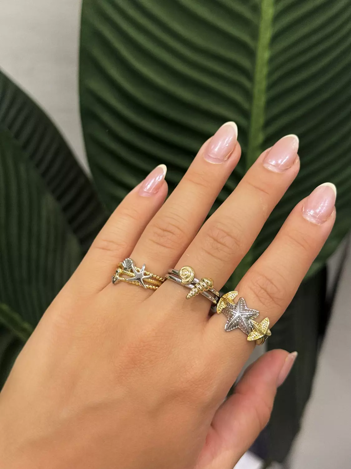 Set of four rings  image