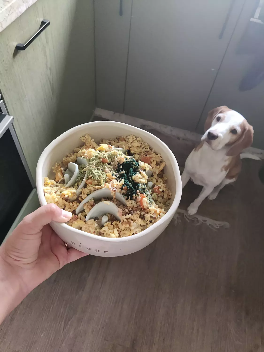 Slow Feeder Insert 4