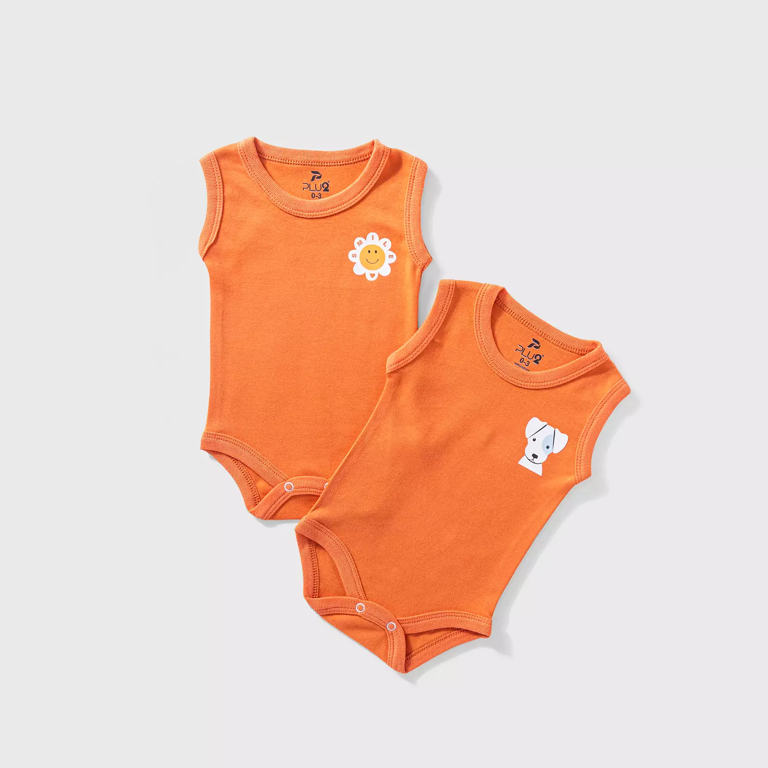 بدى كت ألوان 13