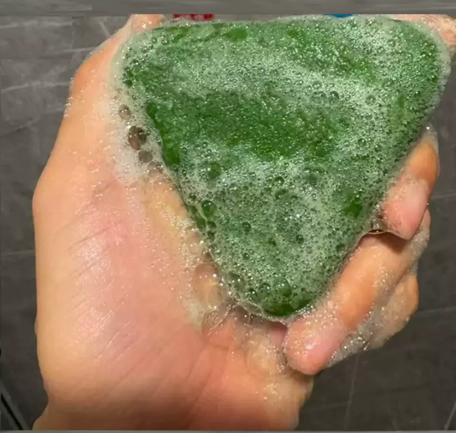 NATURE CACUMEN BIOTAE ISATIS INDIGOTICA SHAMPOO BAR 4