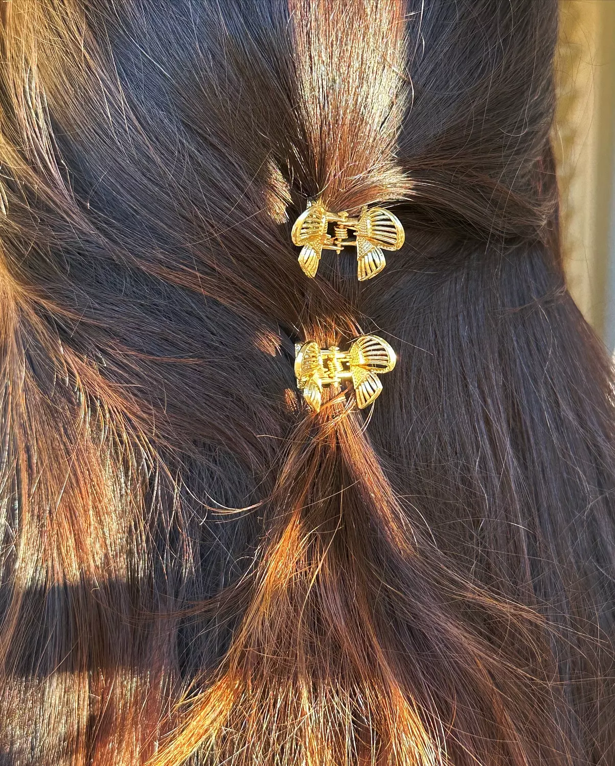 Goldie butterflies  hover image