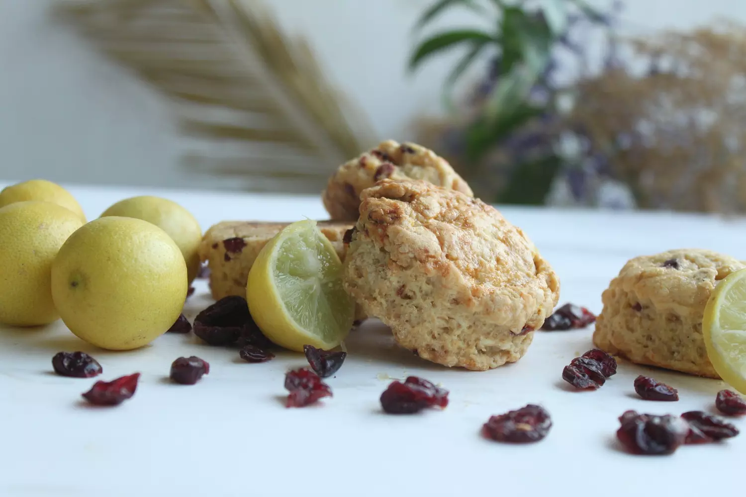 Cranberry Lemon Scones 10
