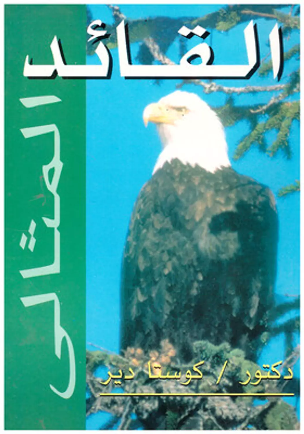 القائد المثالي image
