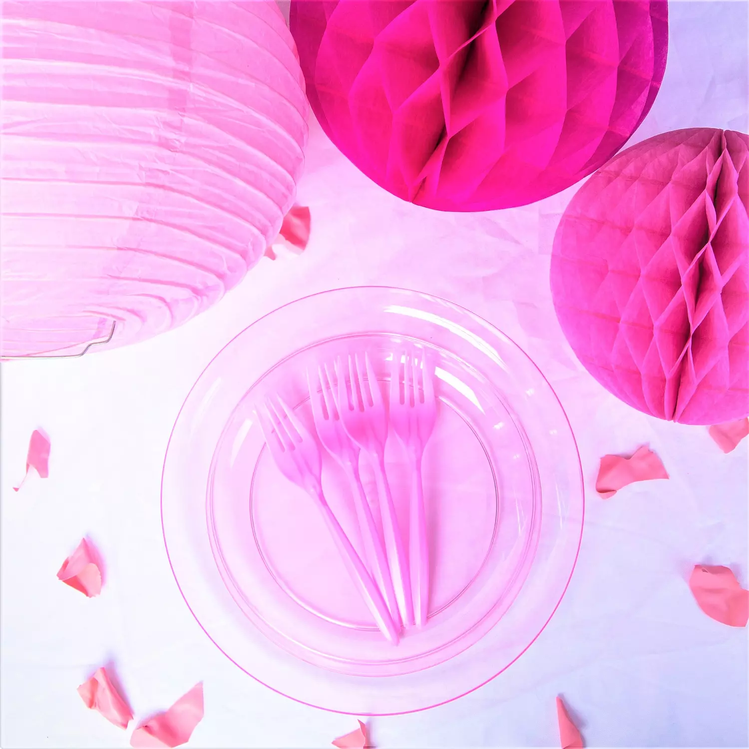 Pink Plastic Plates 4