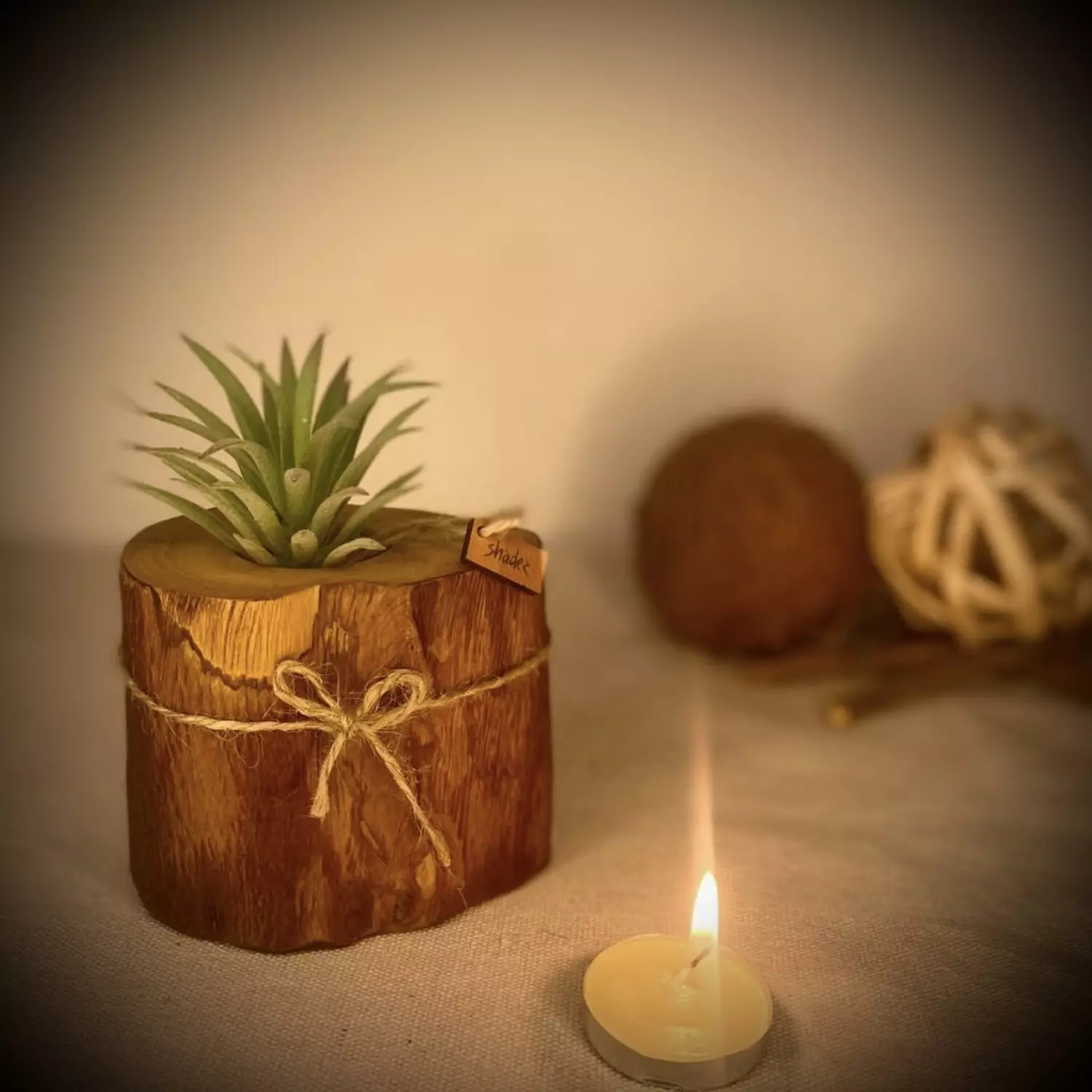 Olive Charm Pot image