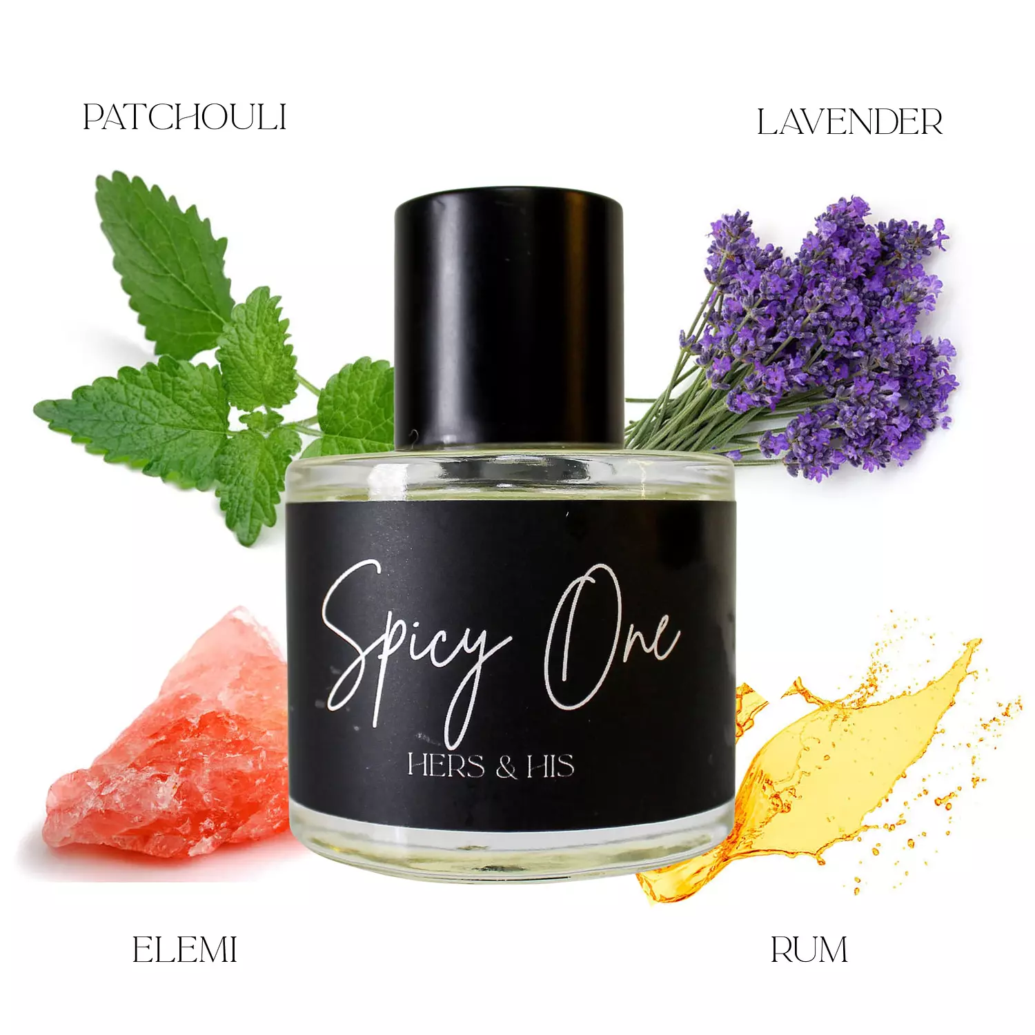 The Iconic Bundle  2