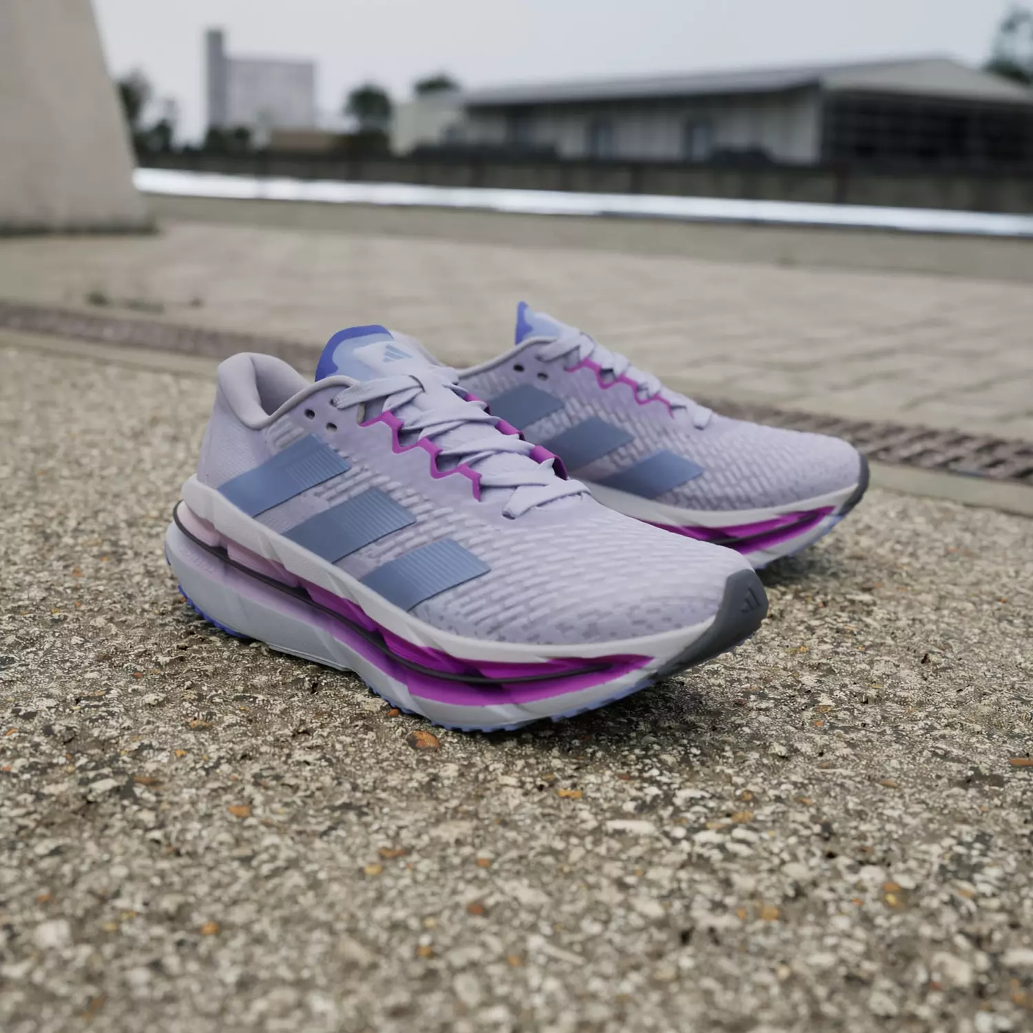 Adidas Adistar Byd Purple  6