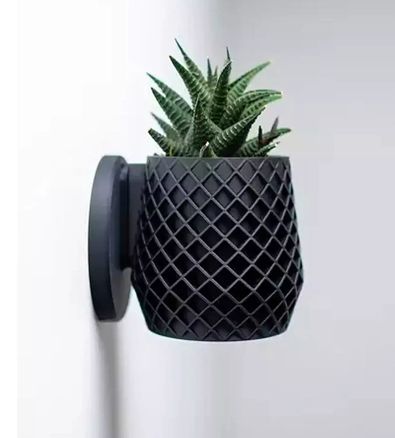 Lattice Planter By Pots  image