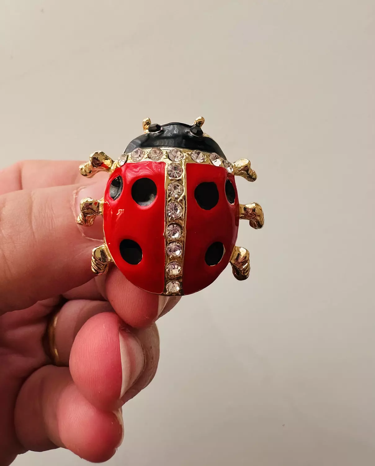 Lady bug 1 image
