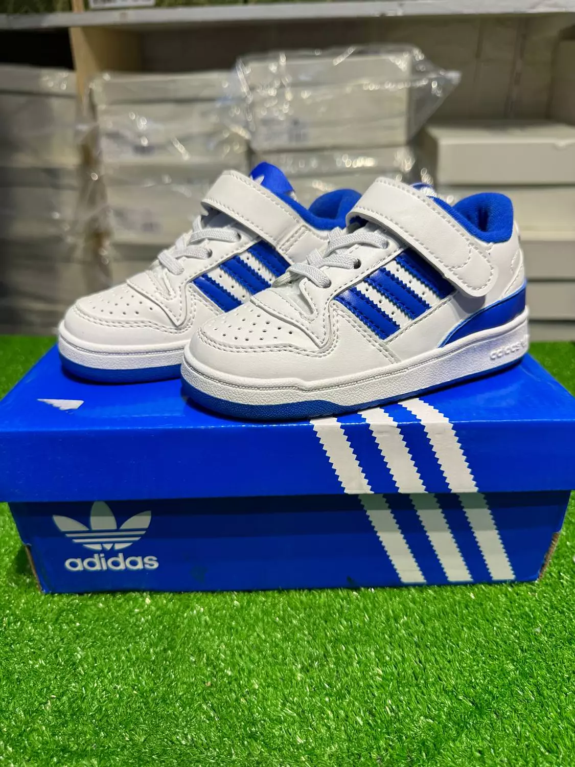 Adidas Forum low shoes hover image