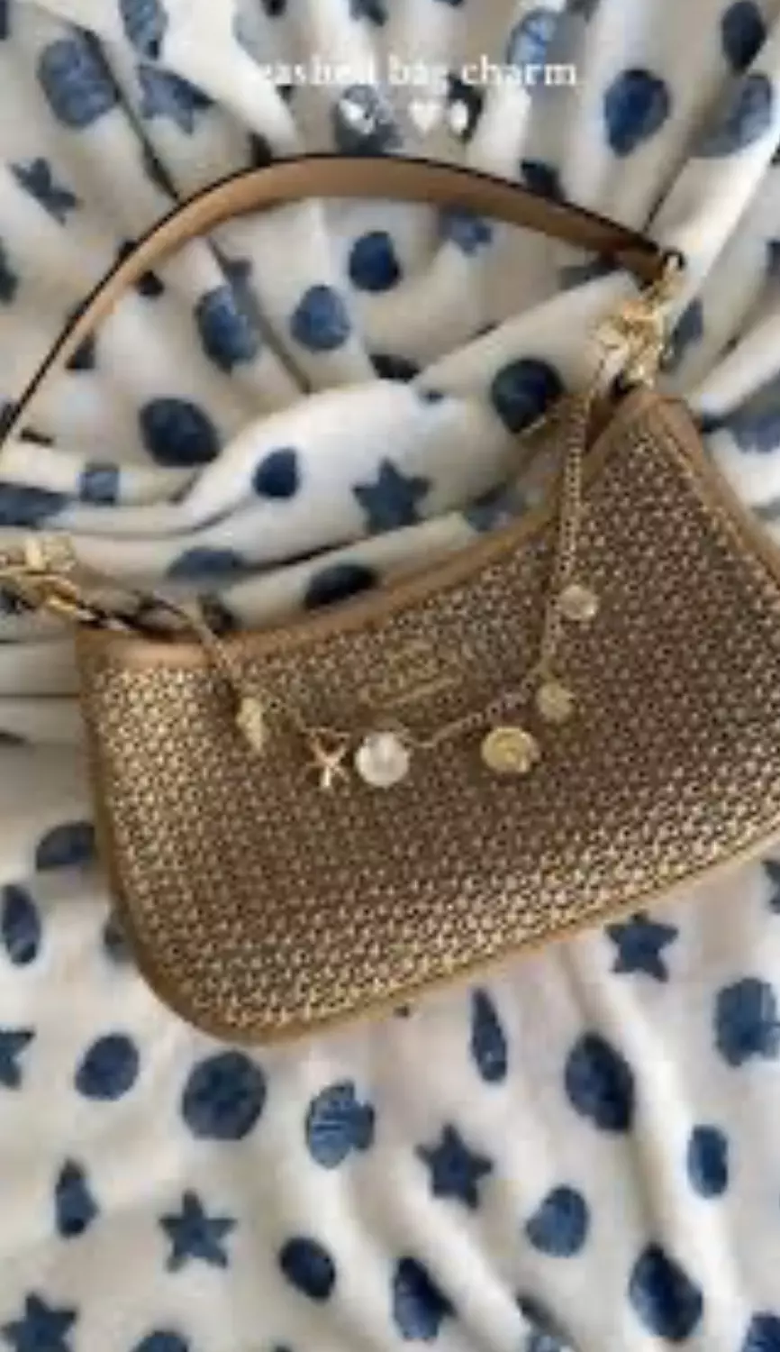 Coach Teri Straw bag 3