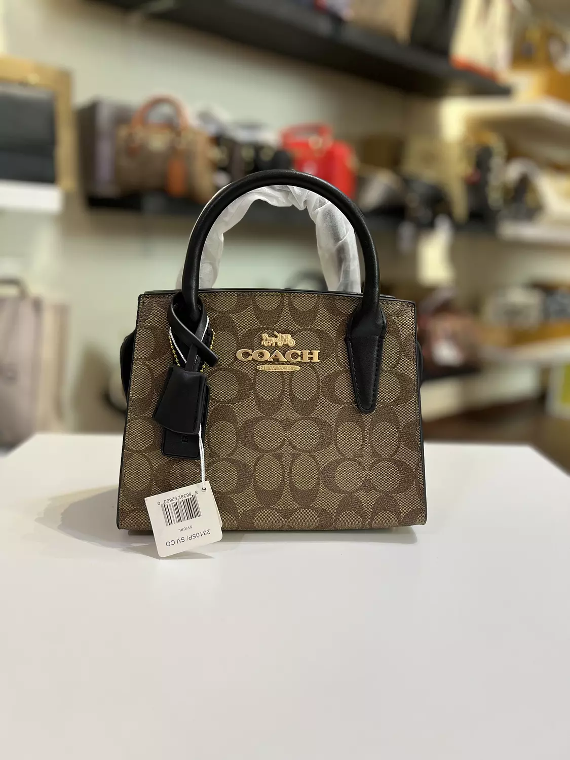 Coach . image