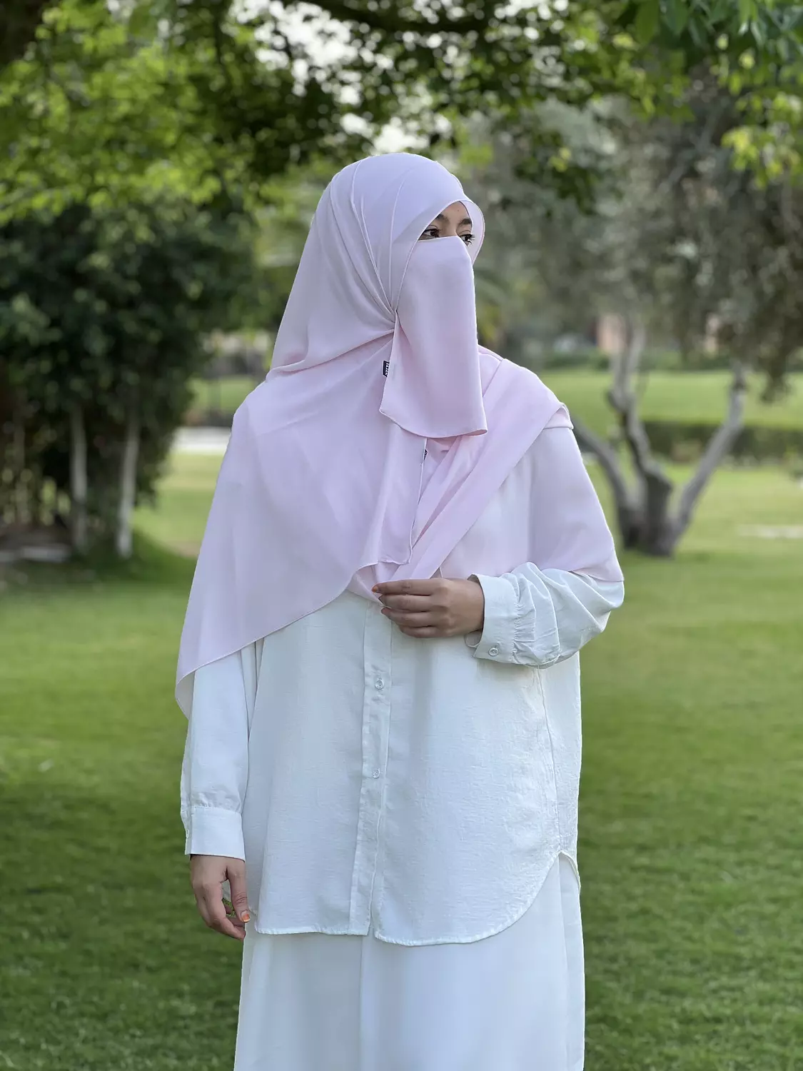 Powder pink Scarf  image