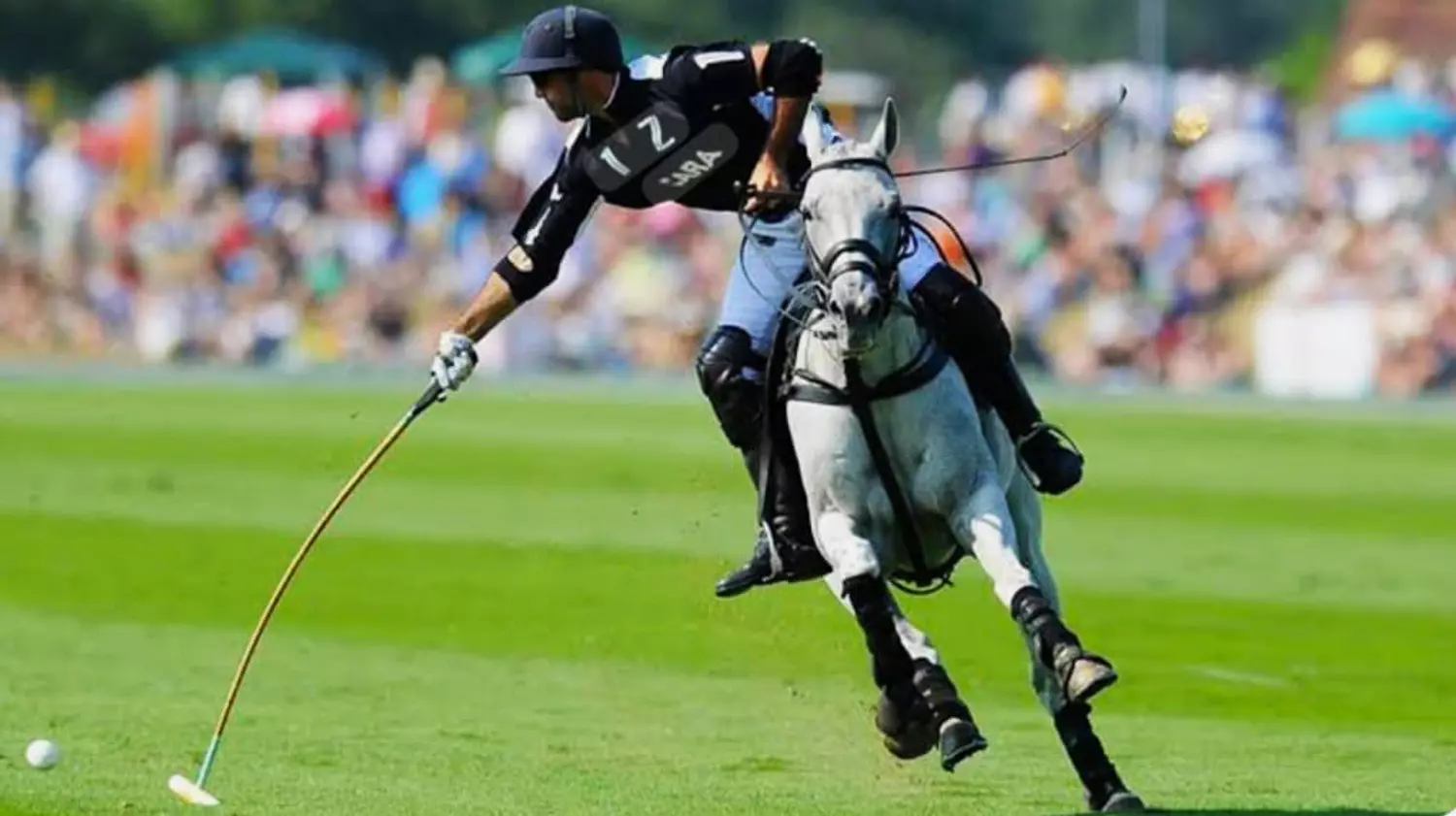 🎖️🌐Where Legends Meet Reality.The Timeless Sport of Polo. 3