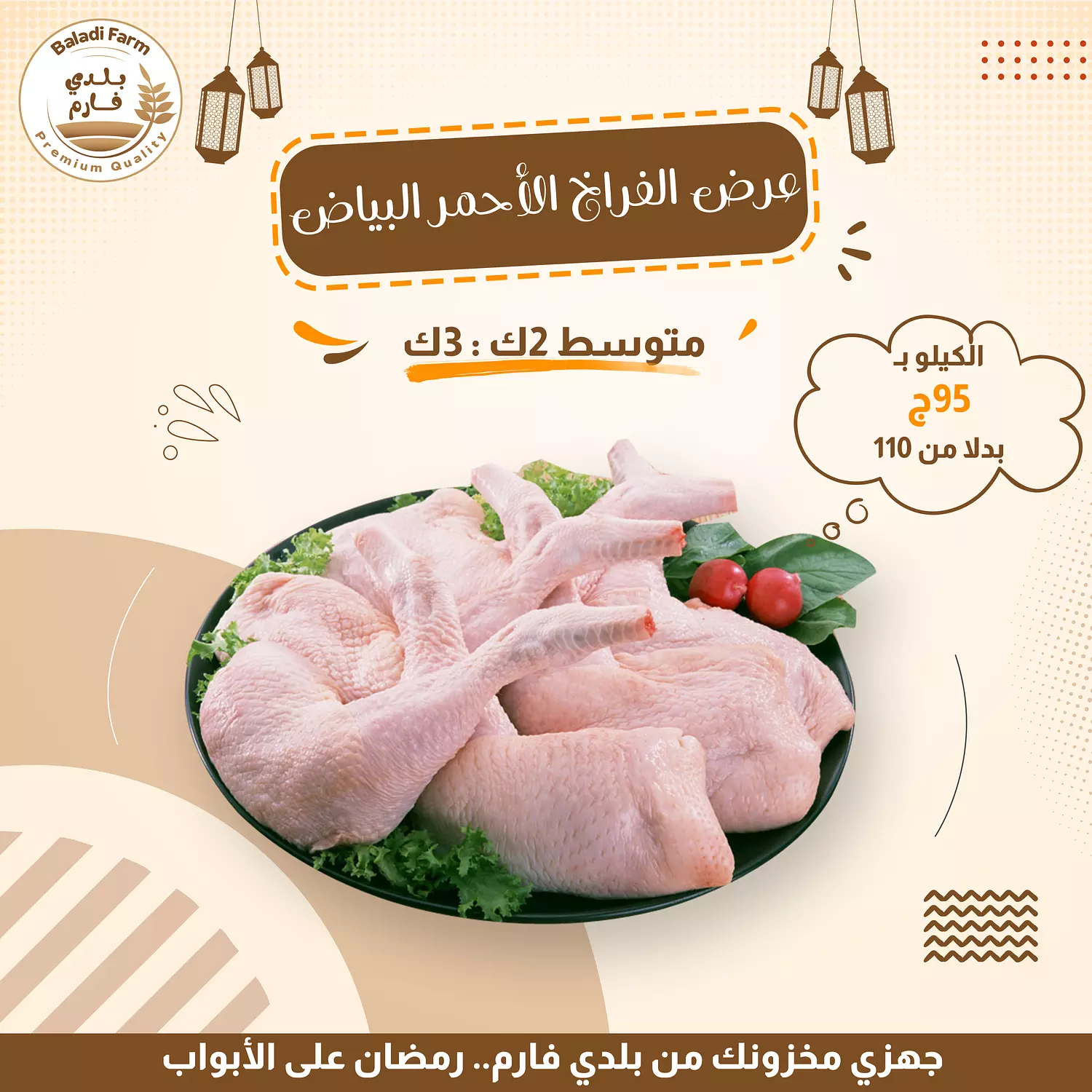 فراخ احمر بياض  image