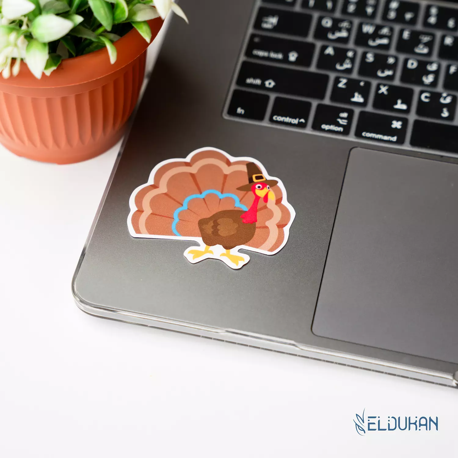 peacock stickers image
