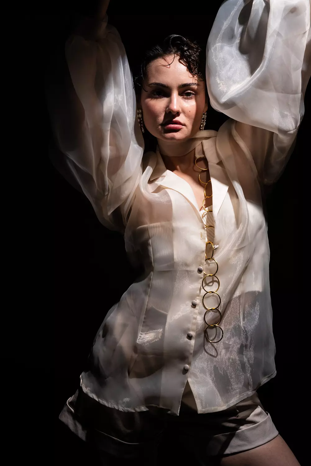 Organza Blouse image