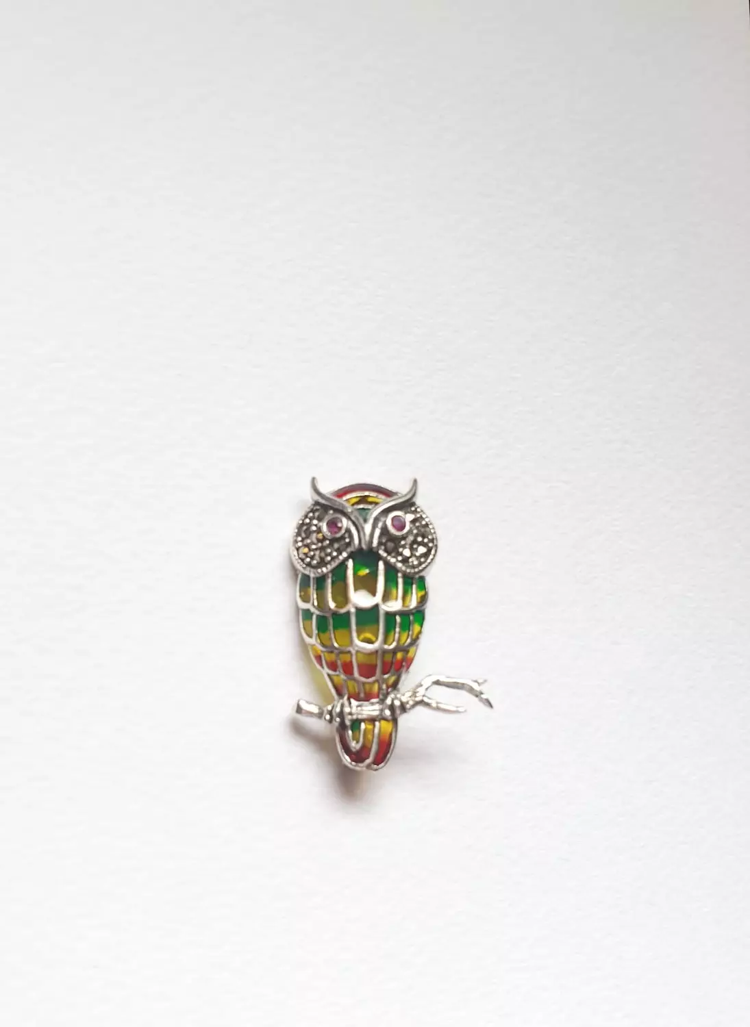 Owl broche & pendant  image