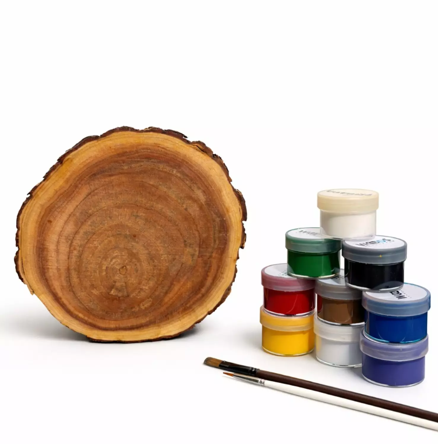 Tree Slice Painting image