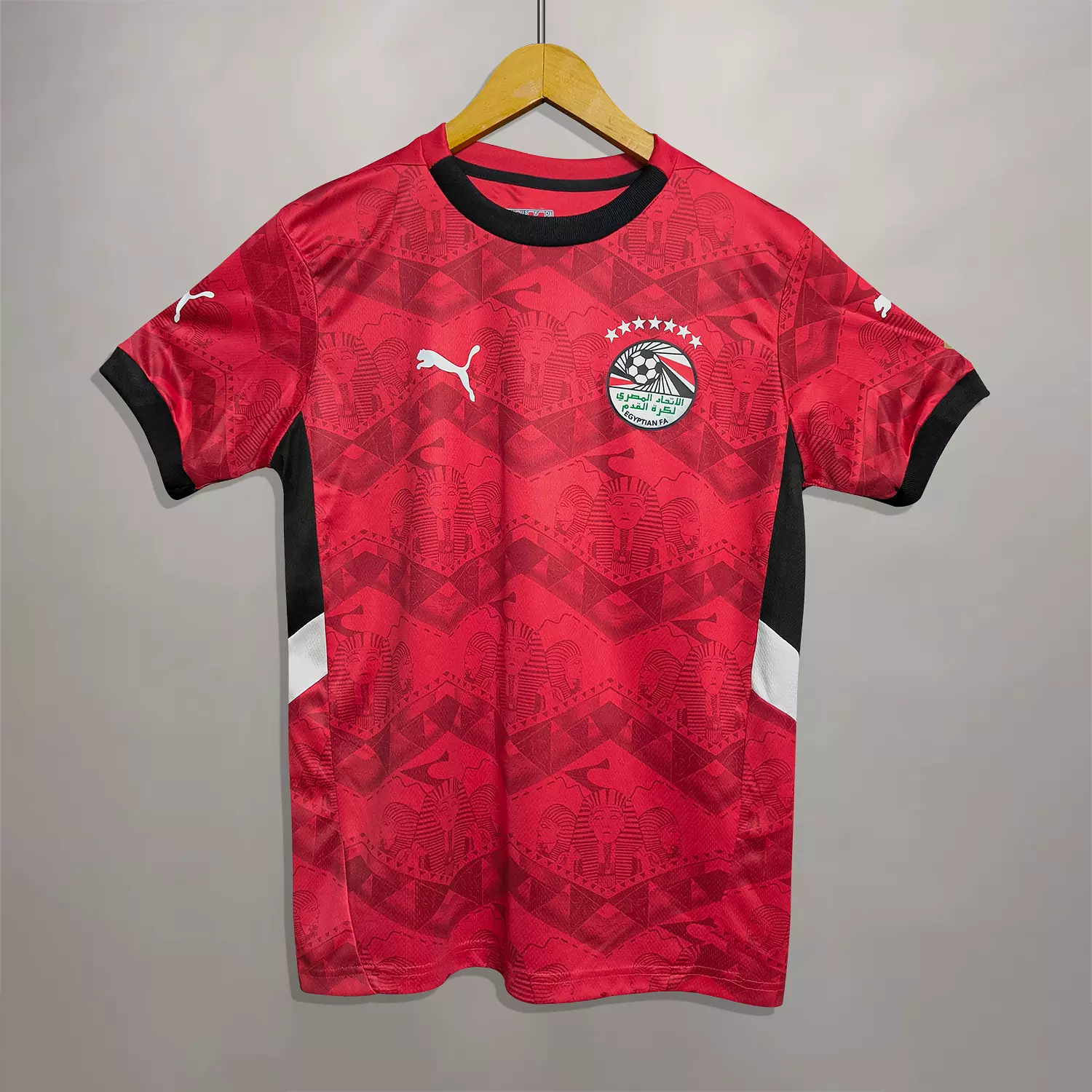 EGYPT CAF 25 FANS - NATIONAL image