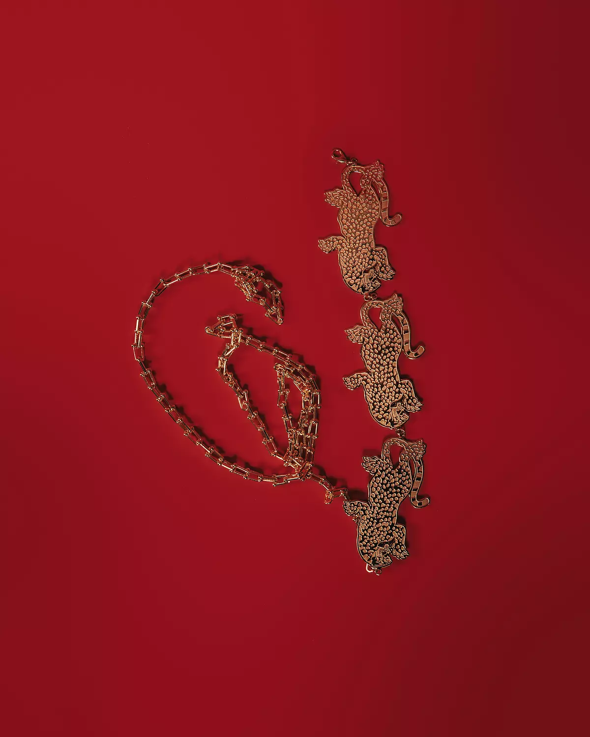 The Tiger - Gold Belt 2