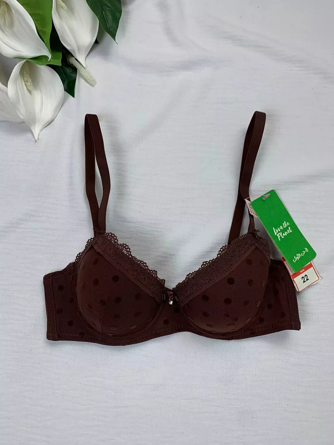 Wired padded bra from Splash 1