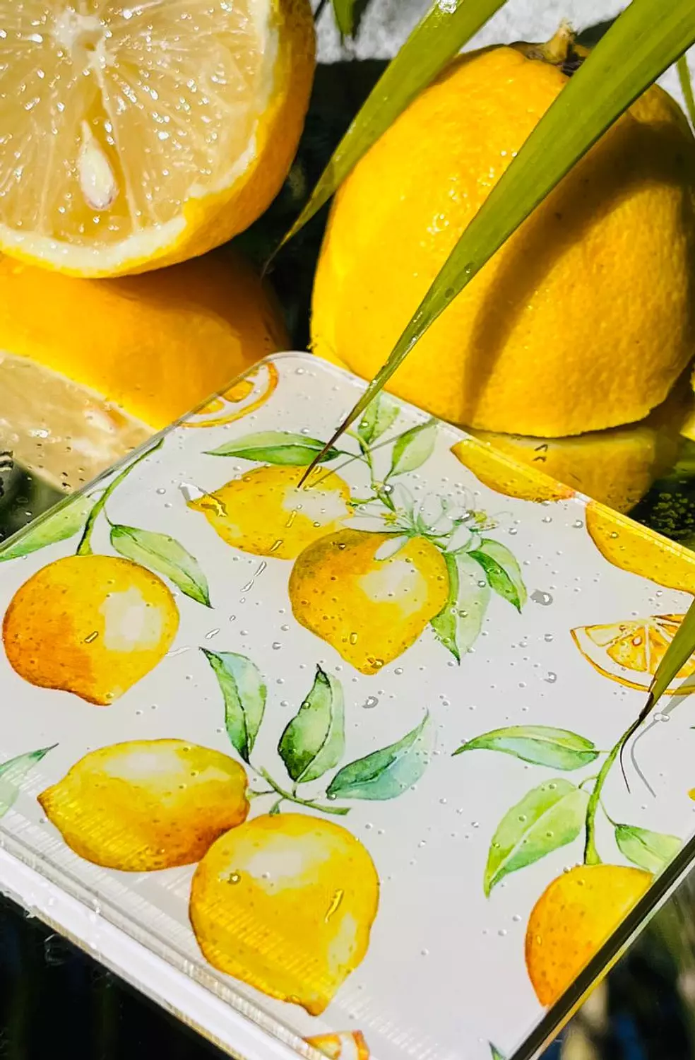 The Lemon Pattern Coaster Set  3