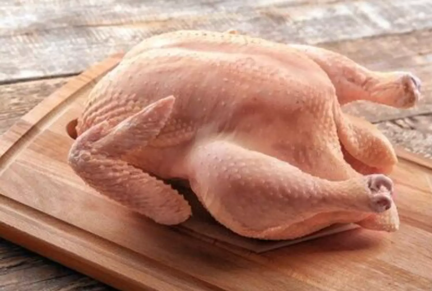 ديك رومي كامل image