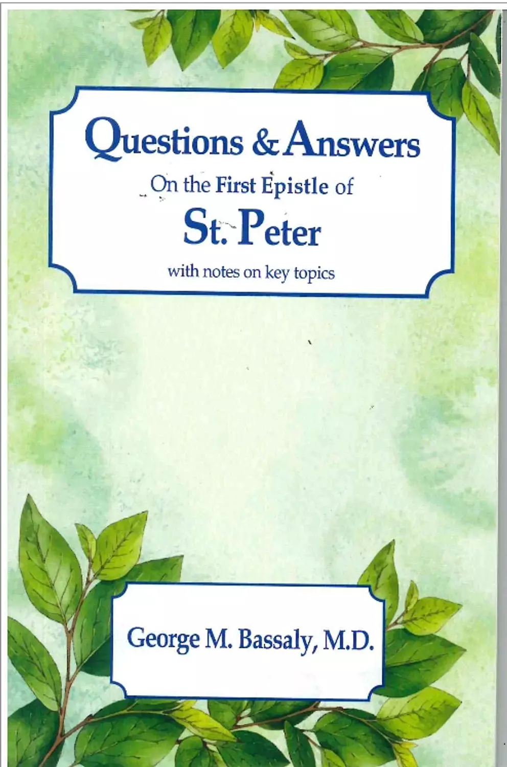 Questions Answers st peter image