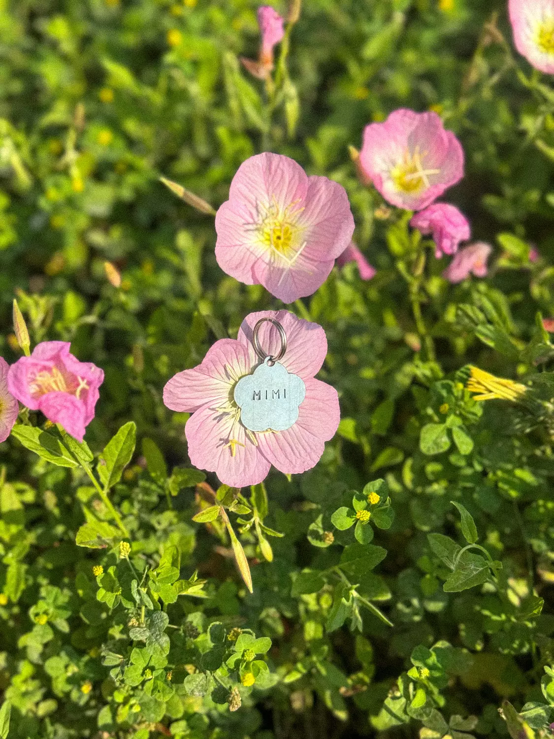 Spring Bloom Pet Tag  image