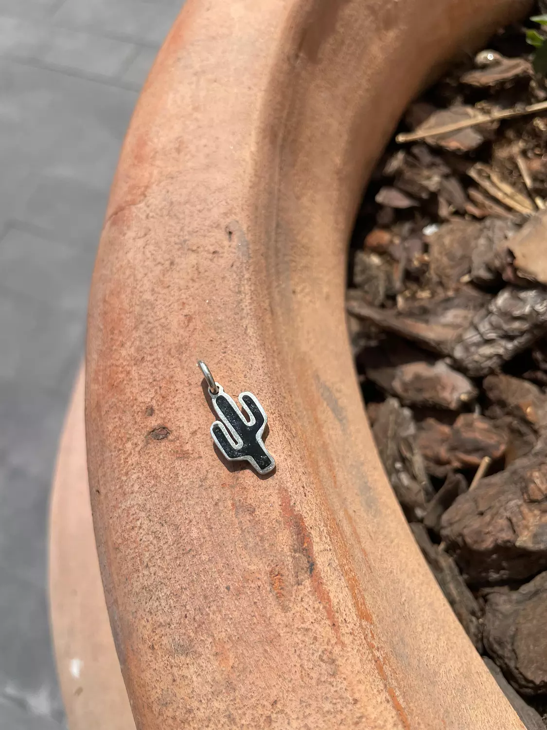 Black Cactus Pendant hover image