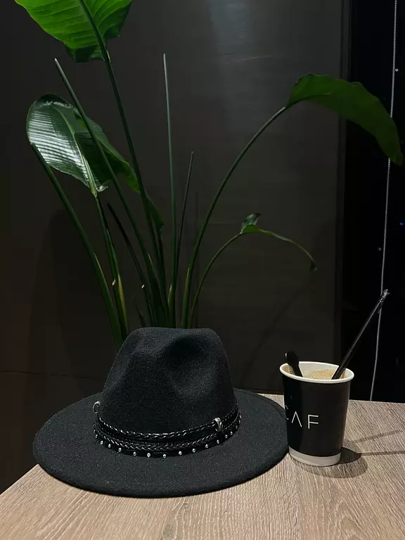 <h2 style="text-align: center"><strong>Winter Hats</strong><br></h2>